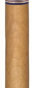 Santa Damiana Churchill