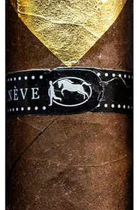 Cavalier Genève Black II Tempura