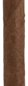 Arturo Fuente Rainforest Delight