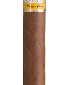 Cohiba 1492 Siglo III