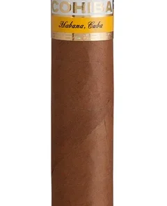 Cohiba 1492 Siglo IV