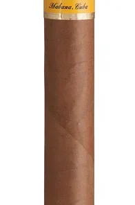 Cohiba 1492 Siglo V