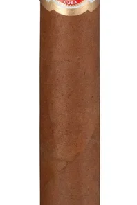 Punch Triunfos