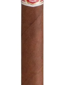 Hoyo De Monterrey Le Hoyo du Maire