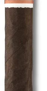 Neanderthal HS Toro