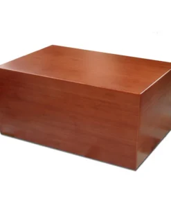 Pegasus Humidor für 80 Zigarren