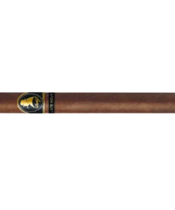 Winston Churchill Late Hour Chuchill