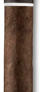 CroMagnon Anthropology
