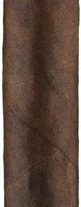 CroMagnon Cranium