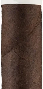 CroMagnon EMH