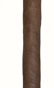 Alonso Menendez No. 50