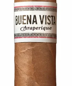 Buena Vista Araperique Short Robusto
