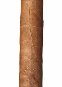 Buena Vista Araperique Petit Corona