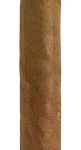 Jose L. Piedra Petit Cedros