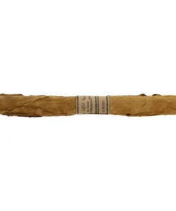 LEAF by Oscar – Corojo Lancero