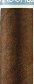 RoMa Craft Wunderlust Robusto