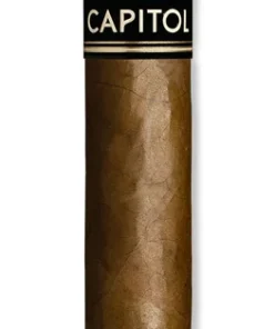 Capitol Gala Double Robusto