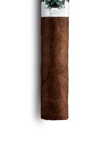 Schizo Robusto