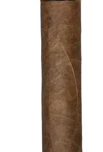 Arturo Fuente Hemingway Classic