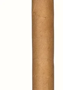 Don Diego Slim Panetela