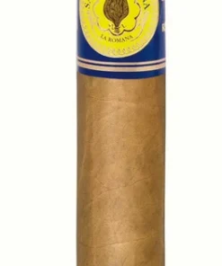 Santa Damiana Robusto