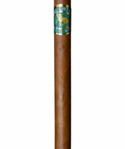 Casdagli Daughters of the Wind Cremello Lancero