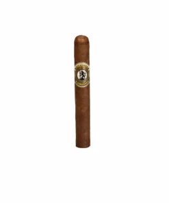 Wolfertz Aventura Toro