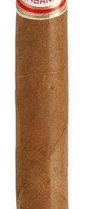 Hoyo de Monterrey Double Corona