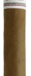 Buena Vista Churchill