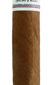 Buena Vista Toro