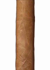 Buena Vista Dark Fired Kentucky Petit Corona