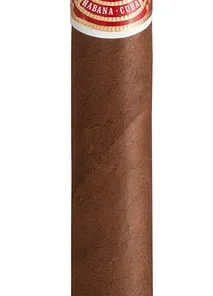 Romeo y Julieta Sport Largos