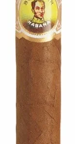 Bolivar Corona Junior