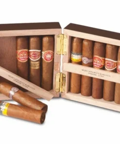Habanos Selección Petit Robusto