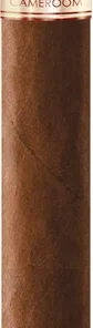 La Aurora Cameroon 1903 Churchill