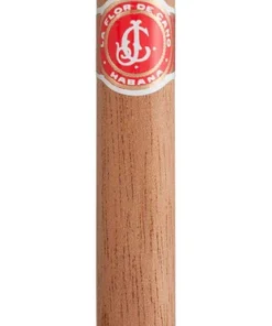 Flor de Cano Petit Corona
