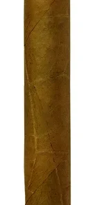 Joya de Nicaragua Clásico Viajante