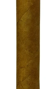 Joya de Nicaragua Clásico Churchill