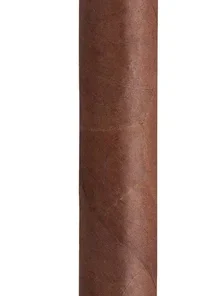 Punch Double Corona