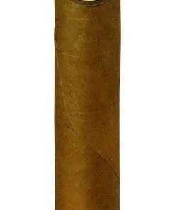 Joya de Nicaragua Clásico Toro