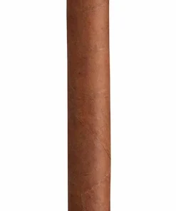 Montecristo A 1er Holzkiste