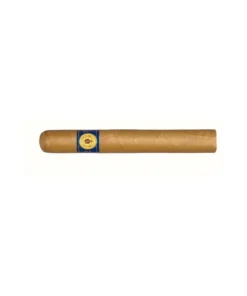Santa Damiana Petit Corona