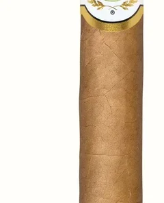 Don Diego Petit Corona