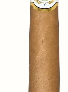 Don Diego Torpedo