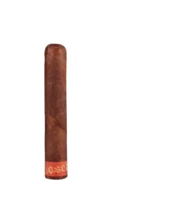 Diesel D4 Origin Robusto