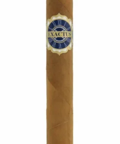 El Artista Exactus Toro Connecticut