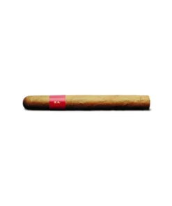 Patoro Gran Anejo Reserva Corona
