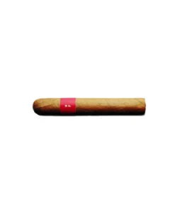 Patoro Gran Anejo Reserva Robusto