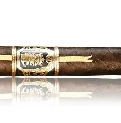 10 Robusto