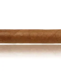 Seleccion No. 1